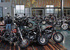 The showroom floor with motorcycles lined up in the middle.